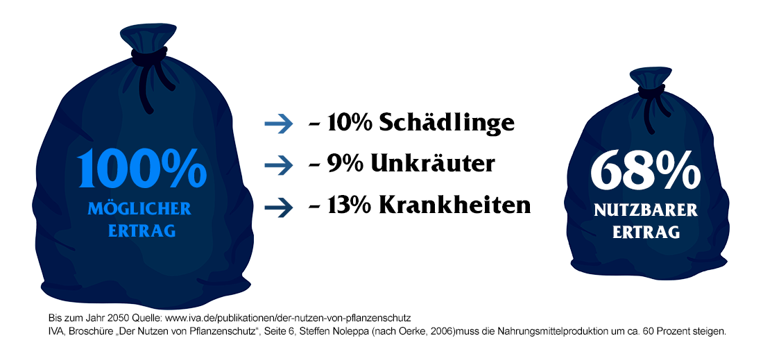 02ohneeinsatzvschutzm