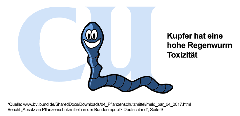 07-regenwurm