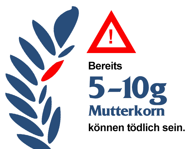 11-mKornII