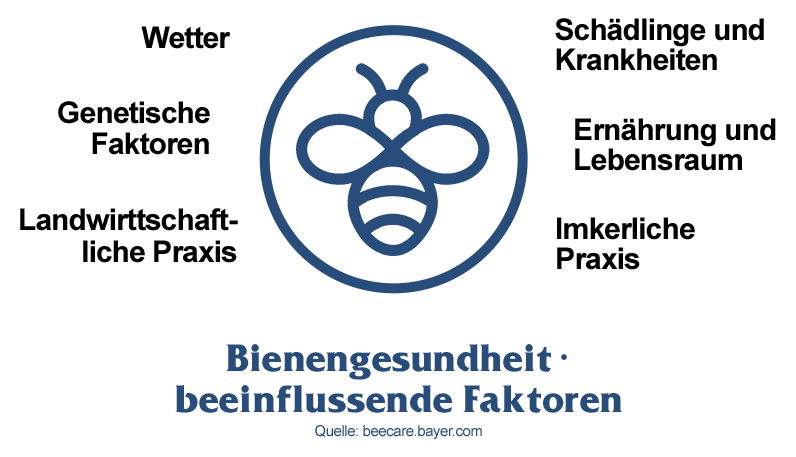 21-beeinfl-Bienenfakt
